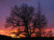 Valokuvaus - Auringonlaskuja